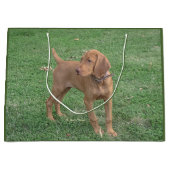 Vizsla Geschenk-Tasche Große Geschenktüte (Vorderseite)