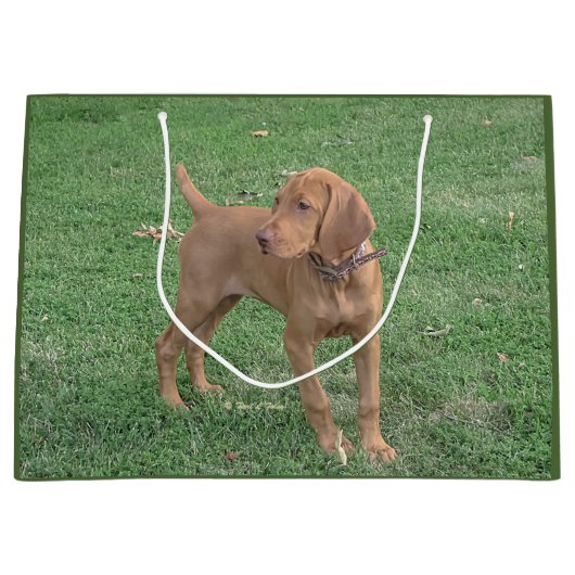 Vizsla Geschenk-Tasche Große Geschenktüte (Vorderseite)