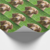 vizsla geschenkpapier (Ecke)