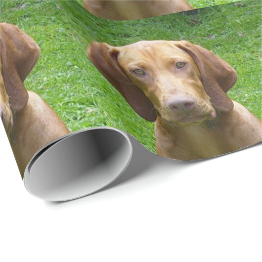 vizsla geschenkpapier (Rolleneckpunkt)