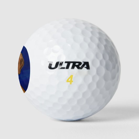 Vizsla Golfball (Logo)