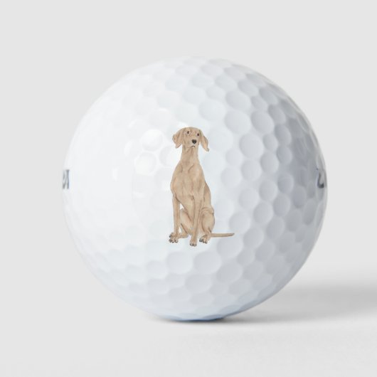 Vizsla Golfball (Vorderseite)