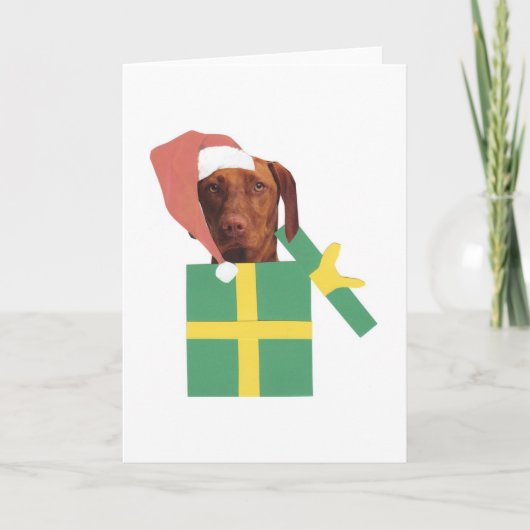 Vizsla Green Gift Box Feiertagskarte (Vorderseite)
