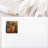 Vizsla-Gruppe (Insitu)