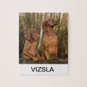 vizsla Gruppe Puzzle (Vertikal)