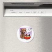 Vizsla Halloween Candy Magnet (In Situ (Geschirrspüler))