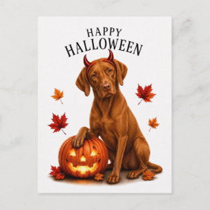 Vizsla Halloween Postkarte