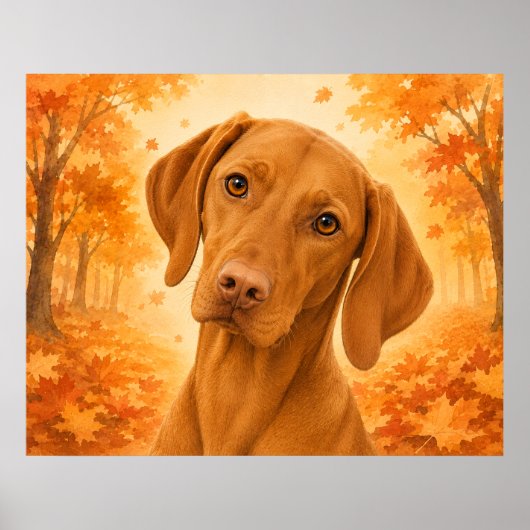 Vizsla-Herbstwaldhund Poster (Vorne)