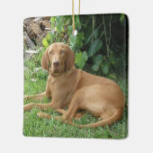 Vizsla Hound Dog Keramikornament (Links)