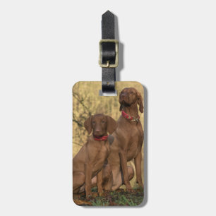 Vizsla Hound Dogs Gepäckanhänger