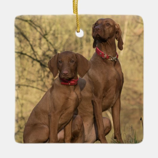 Vizsla Hound Dogs Keramikornament (Vorderseite)