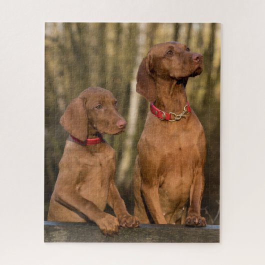 Vizsla Hound Dogs Puzzle (Vertikal)