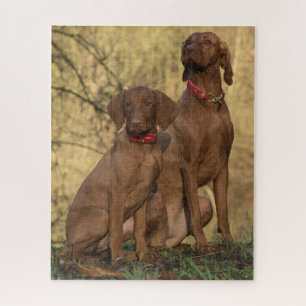 Vizsla Hound Dogs Puzzle