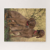 Vizsla Hound Dogs Puzzle (Horizontal)