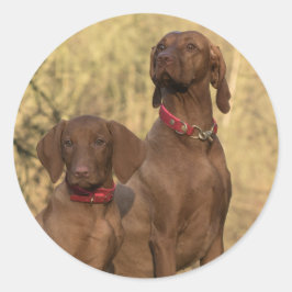 Vizsla Hound Hunde - Jagdhunde - Runder Aufkleber