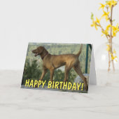 Vizsla Hund Geburtstagskarte Karte (Gelbe Blume)