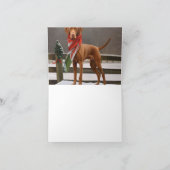 Vizsla Hund in Schnee Weihnachten Karte (Innenseite)