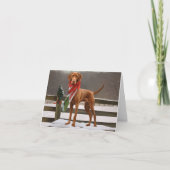 Vizsla Hund in Schnee Weihnachten Karte (Vorderseite)