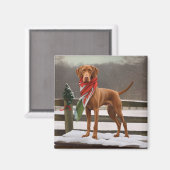 Vizsla Hund in Schnee Weihnachten Magnet (Vorderseite/Rückseite)