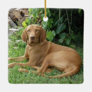 Vizsla Hund Keramikornament