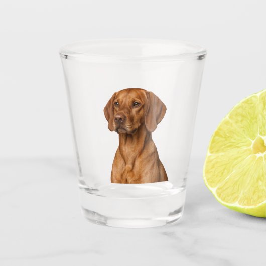 Vizsla-Hund Schnapsglas (Vorderseite)