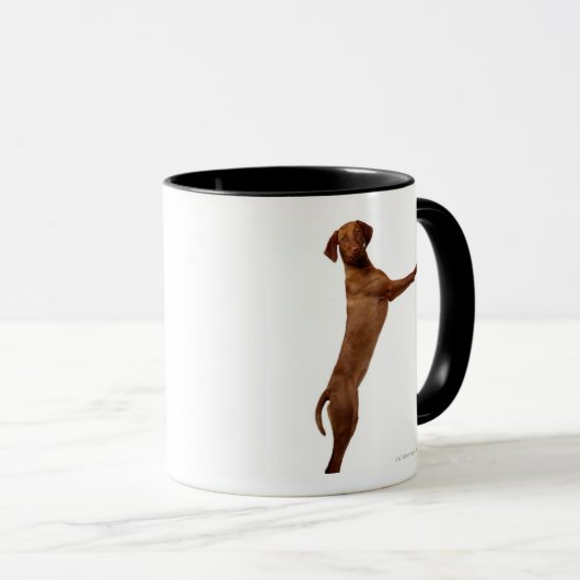 Vizsla Hund Tasse (VorderseiteRechts)
