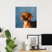 Vizsla-Hund - Ungarischer Hund Poster (Heimbüro)