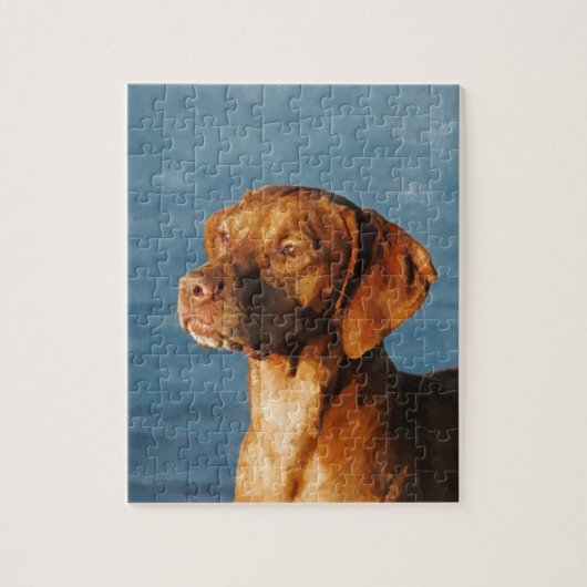 Vizsla Hund - ungarischer Jagdhund Puzzle (Vertikal)