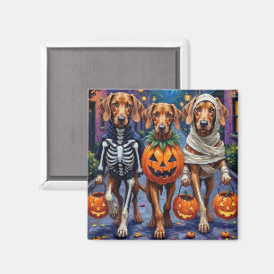 Vizsla-Hunde beim Trick-or-Treat in Halloween-Kost Magnet