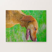 Vizsla-Hunde-Puzzles. Puzzle (Horizontal)