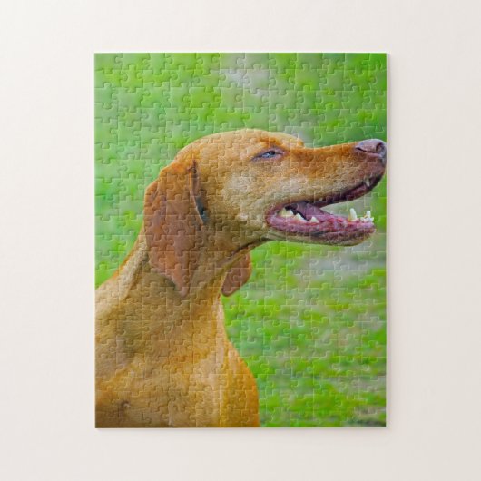 Vizsla-Hunde-Puzzles. Puzzle (Vertikal)