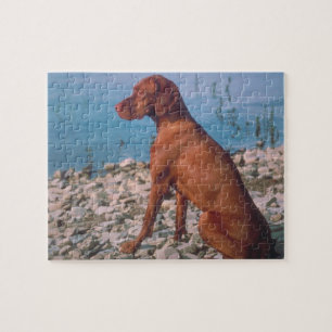 Vizsla Hundepuzzlespiel Puzzle