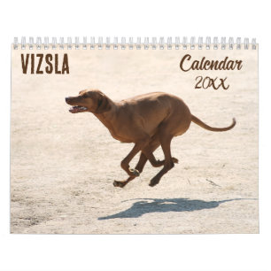 Vizsla-Kalender 2025 Kalender
