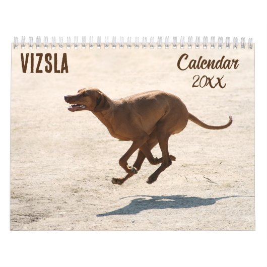 Vizsla-Kalender 2026 Kalender (Titelbild)