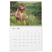Vizsla-Kalender 2026 Kalender (Mär 2027)