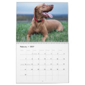 Vizsla-Kalender 2026 Kalender (Feb 2027)