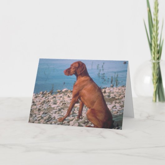 Vizsla Karte (Vorderseite)