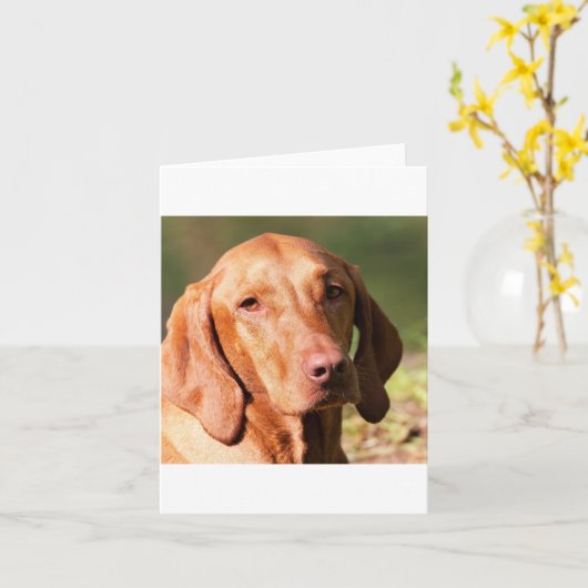 Vizsla Karte (Gelbe Blume)