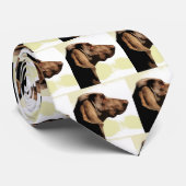 Vizsla Krawatte (Gerollt)