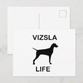 Vizsla Leben Postkarte (Vorne/Hinten)