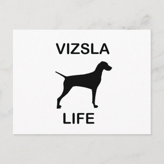 Vizsla Leben Postkarte (Vorderseite)
