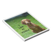 vizsla Liebe w pic Notizblock (angewinkelt)