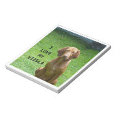 vizsla Liebe w pic Notizblock (Rotiert)