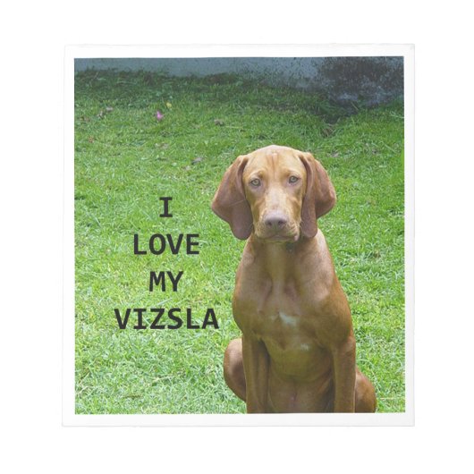 vizsla Liebe w pic Notizblock (Vorderseite)