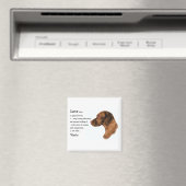 Vizsla Lovers Geschenke Magnet (In Situ (Geschirrspüler))