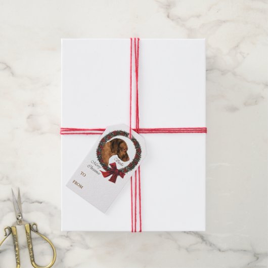 Vizsla Lovers Weihnachten Geschenkanhänger (Mit Garn)