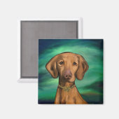 Vizsla Magnet (Vorderseite/Rückseite)