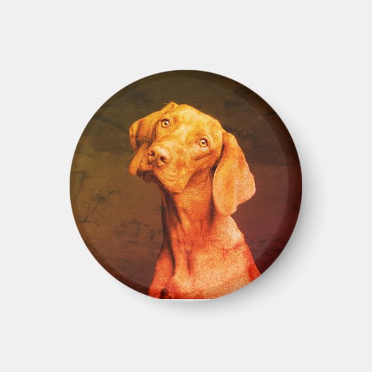 Vizsla Magnet (Vorne)