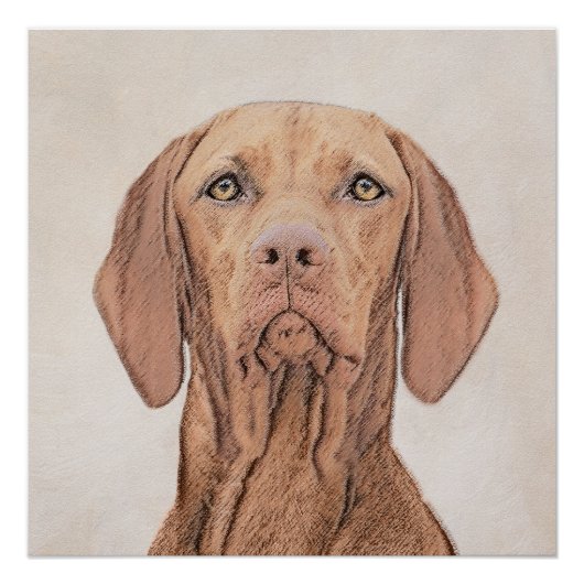 Vizsla-Malerei - Niedliche Original Hunde Kunst Poster (Vorderseite)