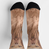 Vizsla-Malerei - Niedliche Original Hunde Kunst Socken (Oben)